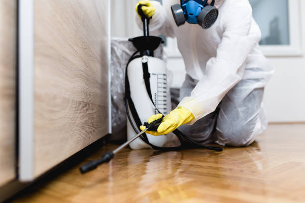 Flea Control Services in East Oakdale, CA