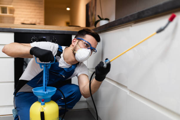 Trusted East Oakdale, CA Pest Control Experts