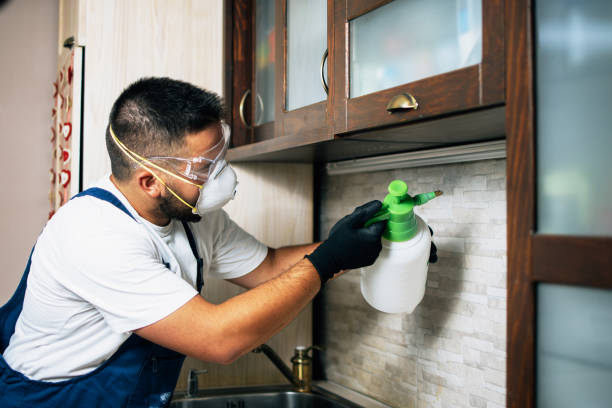 Best Best Pest Control Companies  in East Oakdale, CA