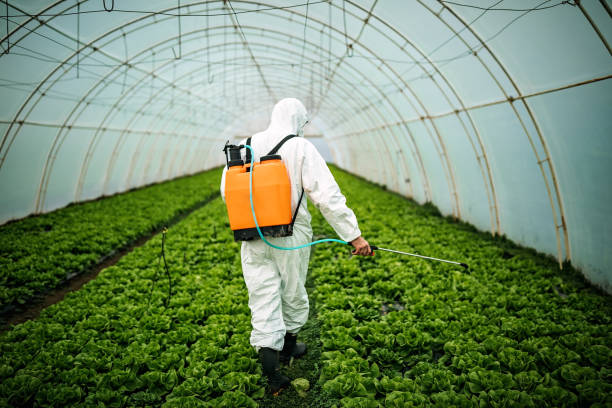 Best Pest Control Near Me  in East Oakdale, CA