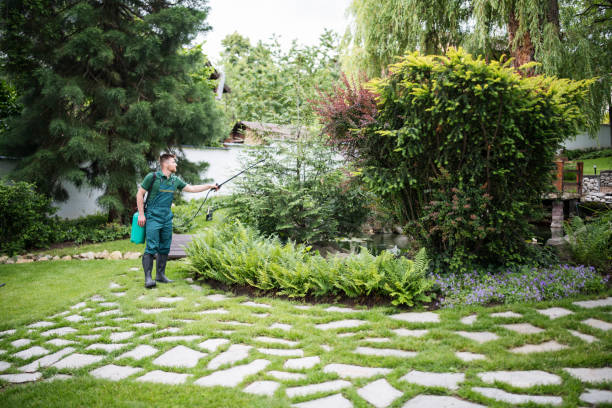 Best Mosquito Control Services  in East Oakdale, CA