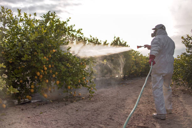Best Bird Control  in East Oakdale, CA