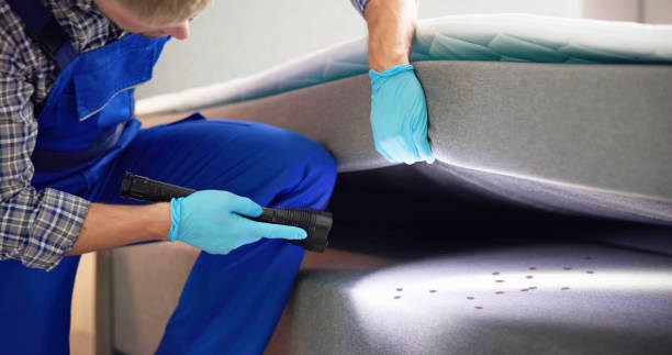 Best Best Pest Control Companies  in East Oakdale, CA