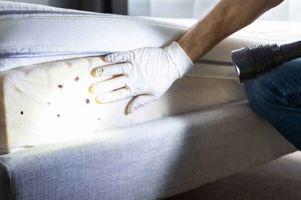 Best Exterminator Services  in East Oakdale, CA