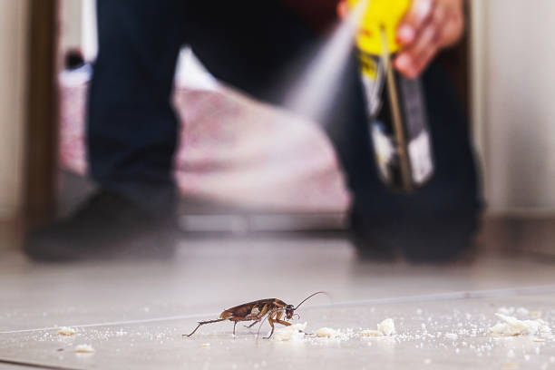 Best Ant Control Services  in East Oakdale, CA