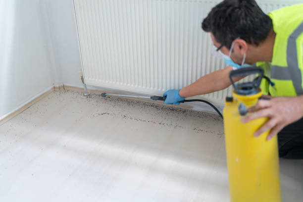 Best Local Pest Control Services  in East Oakdale, CA