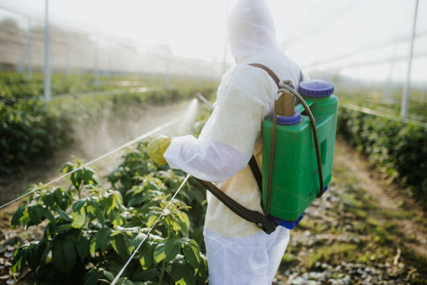 Best Flea Control Services  in East Oakdale, CA